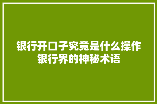 银行开口子究竟是什么操作银行界的神秘术语