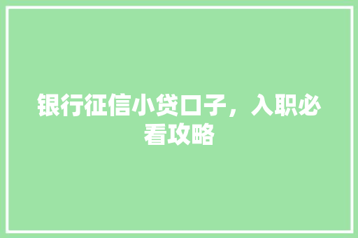 银行征信小贷口子，入职必看攻略