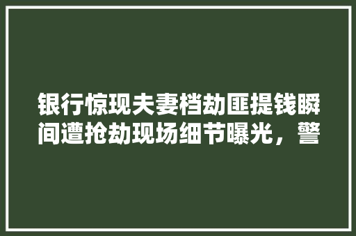 银行惊现夫妻档劫匪提钱瞬间遭抢劫现场细节曝光，警方迅速出击