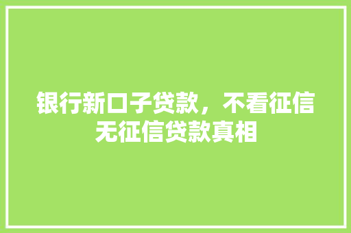 银行新口子贷款，不看征信无征信贷款真相
