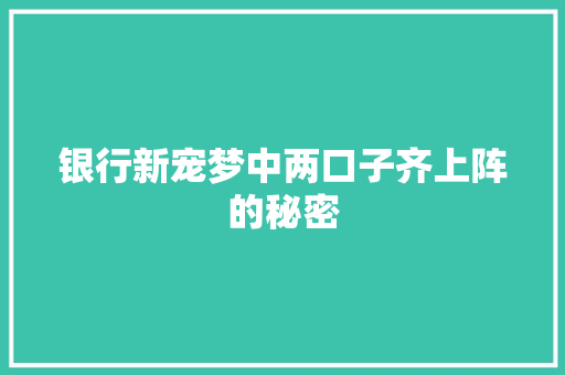 银行新宠梦中两口子齐上阵的秘密