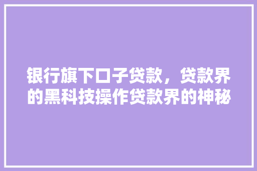 银行旗下口子贷款，贷款界的黑科技操作贷款界的神秘力量