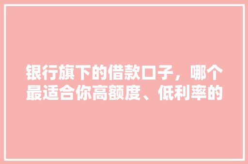 银行旗下的借款口子，哪个最适合你高额度、低利率的秘密