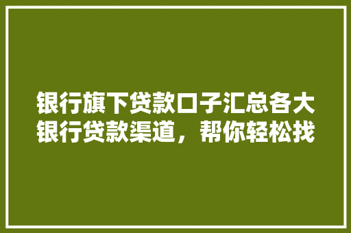 银行旗下贷款口子汇总各大银行贷款渠道，帮你轻松找到最适合的贷款方式