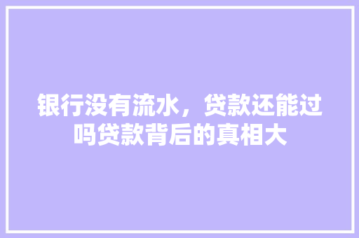 银行没有流水，贷款还能过吗贷款背后的真相大