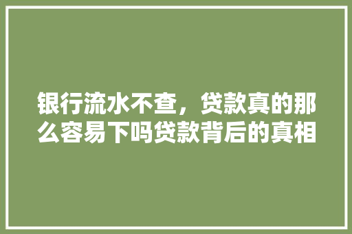 银行流水不查，贷款真的那么容易下吗贷款背后的真相