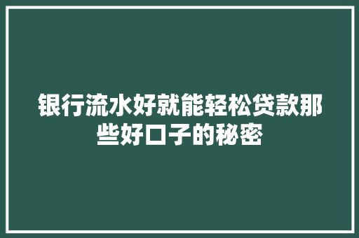 银行流水好就能轻松贷款那些好口子的秘密