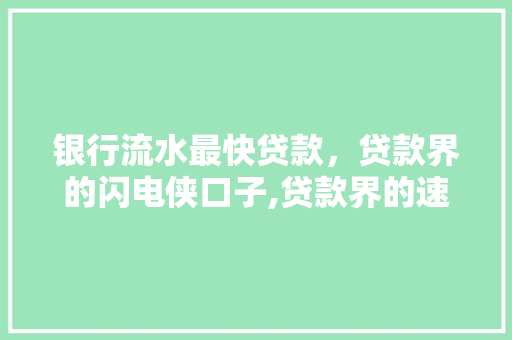 银行流水最快贷款，贷款界的闪电侠口子,贷款界的速度之王