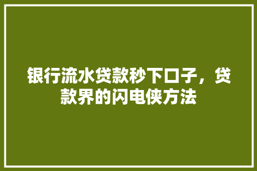 银行流水贷款秒下口子，贷款界的闪电侠方法