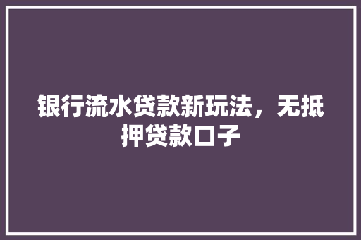 银行流水贷款新玩法，无抵押贷款口子