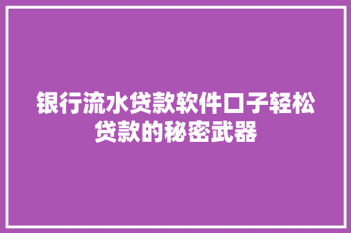 银行流水贷款软件口子轻松贷款的秘密武器