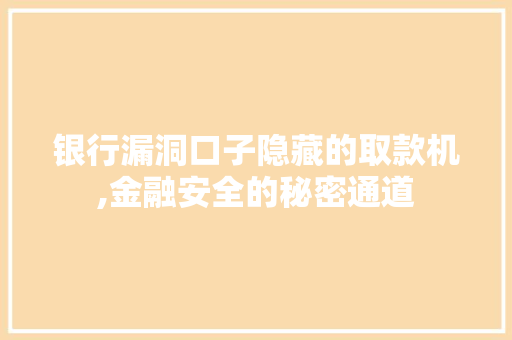 银行漏洞口子隐藏的取款机,金融安全的秘密通道