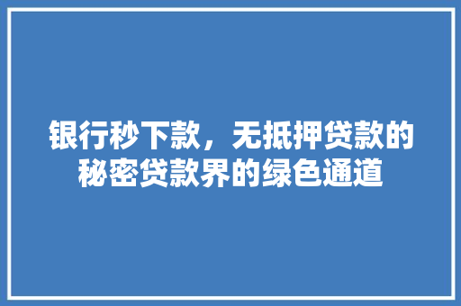 银行秒下款，无抵押贷款的秘密贷款界的绿色通道