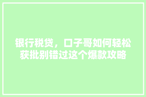银行税贷，口子哥如何轻松获批别错过这个爆款攻略