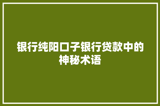 银行纯阳口子银行贷款中的神秘术语