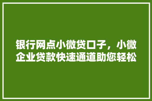 银行网点小微贷口子，小微企业贷款快速通道助您轻松融资，开启创业之门
