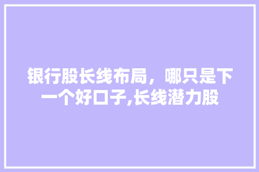 银行股长线布局，哪只是下一个好口子,长线潜力股