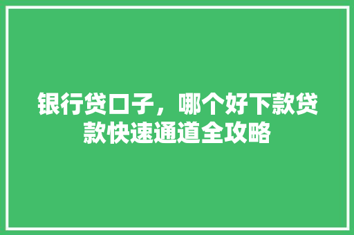 银行贷口子，哪个好下款贷款快速通道全攻略