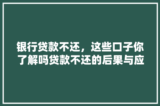 银行贷款不还，这些口子你了解吗贷款不还的后果与应对步骤