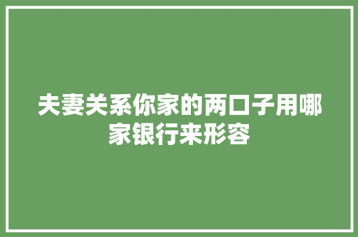 夫妻关系你家的两口子用哪家银行来形容