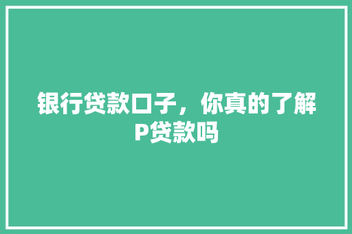 银行贷款口子，你真的了解P贷款吗