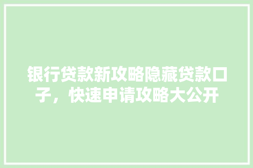 银行贷款新攻略隐藏贷款口子，快速申请攻略大公开