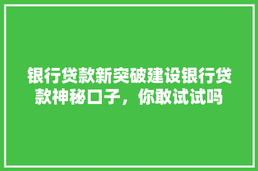 银行贷款新突破建设银行贷款神秘口子，你敢试试吗