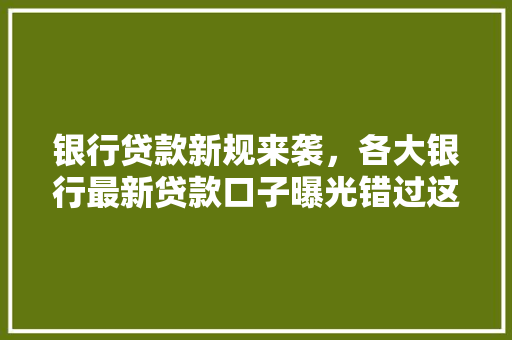 银行贷款新规来袭，各大银行最新贷款口子曝光错过这些你就亏大了