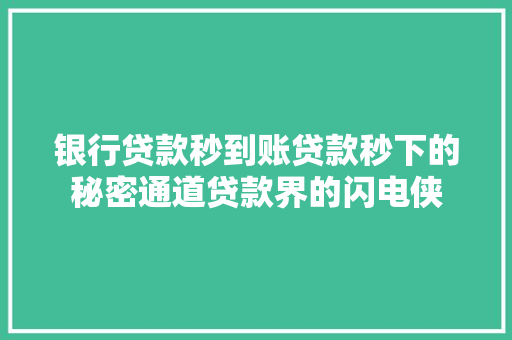 银行贷款秒到账贷款秒下的秘密通道贷款界的闪电侠  第1张