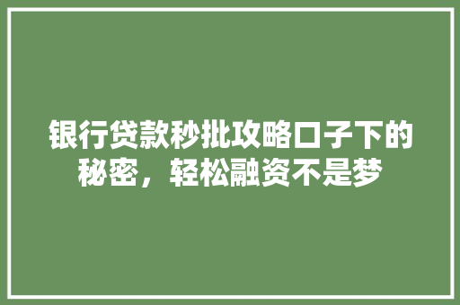 银行贷款秒批攻略口子下的秘密，轻松融资不是梦