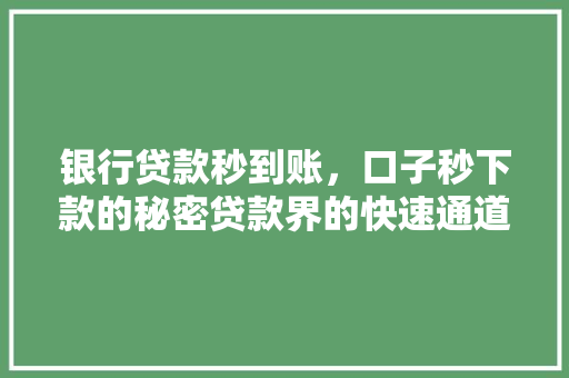 银行贷款秒到账，口子秒下款的秘密贷款界的快速通道