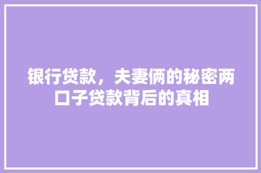 银行贷款，夫妻俩的秘密两口子贷款背后的真相
