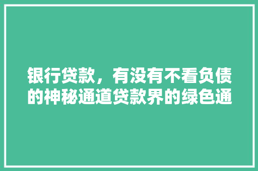 银行贷款，有没有不看负债的神秘通道贷款界的绿色通道