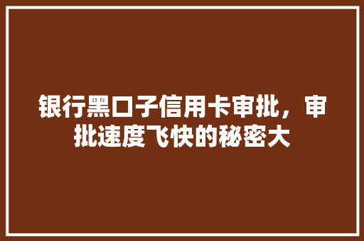 银行黑口子信用卡审批，审批速度飞快的秘密大