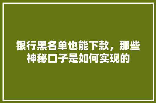 银行黑名单也能下款，那些神秘口子是如何实现的