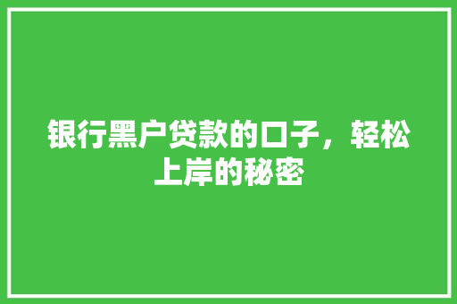 银行黑户贷款的口子，轻松上岸的秘密