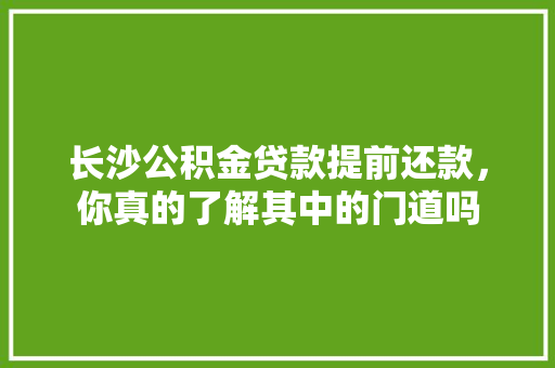 长沙公积金贷款提前还款，你真的了解其中的门道吗