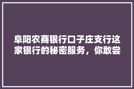 阜阳农商银行口子庄支行这家银行的秘密服务，你敢尝试吗