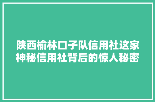陕西榆林口子队信用社这家神秘信用社背后的惊人秘密