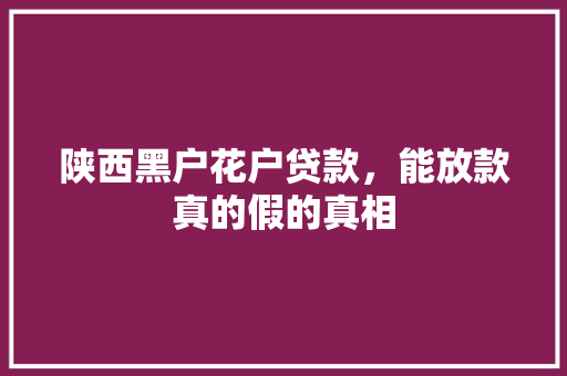 陕西黑户花户贷款，能放款真的假的真相