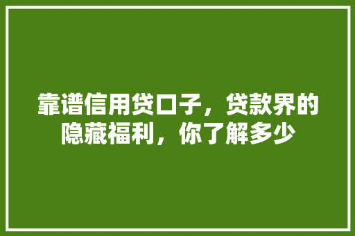 靠谱信用贷口子，贷款界的隐藏福利，你了解多少
