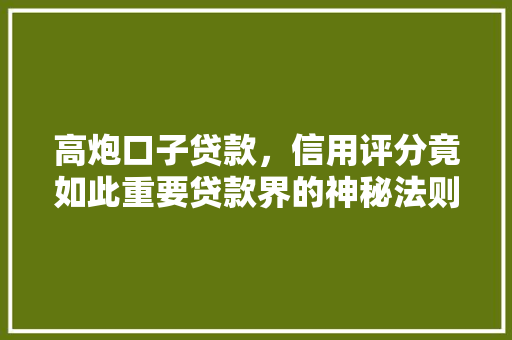 高炮口子贷款，信用评分竟如此重要贷款界的神秘法则