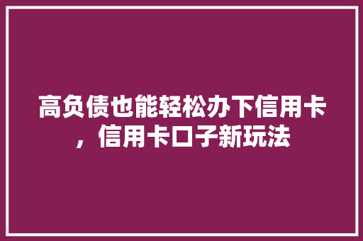 高负债也能轻松办下信用卡，信用卡口子新玩法