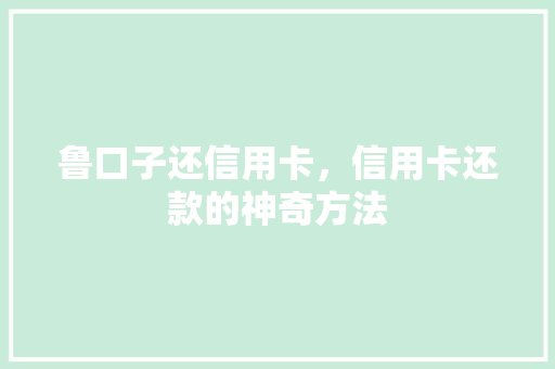 鲁口子还信用卡，信用卡还款的神奇方法