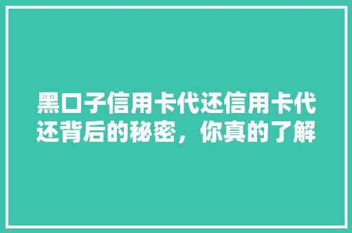 黑口子信用卡代还信用卡代还背后的秘密，你真的了解吗