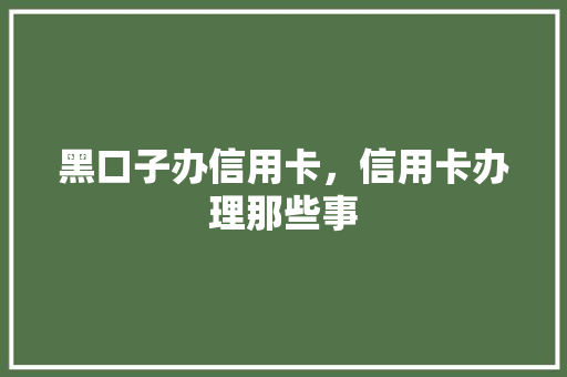 黑口子办信用卡，信用卡办理那些事