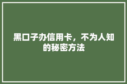 黑口子办信用卡，不为人知的秘密方法