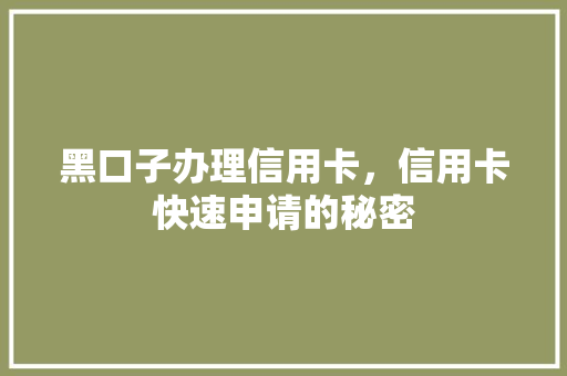 黑口子办理信用卡，信用卡快速申请的秘密