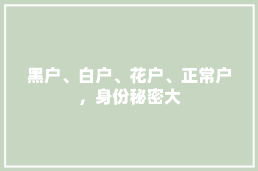 黑户、白户、花户、正常户，身份秘密大