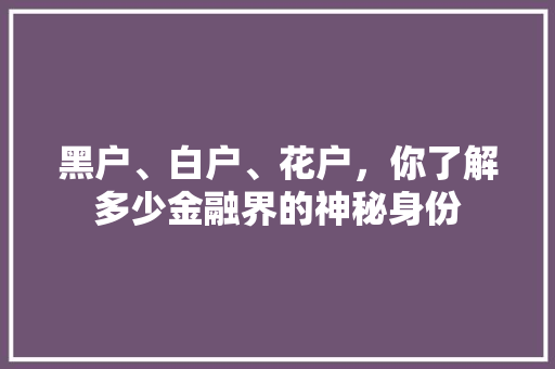 黑户、白户、花户，你了解多少金融界的神秘身份